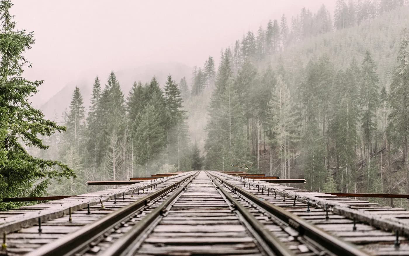 “A low shot of a railroad track leading into a coniferous forest” by Austin Smart on Unsplash